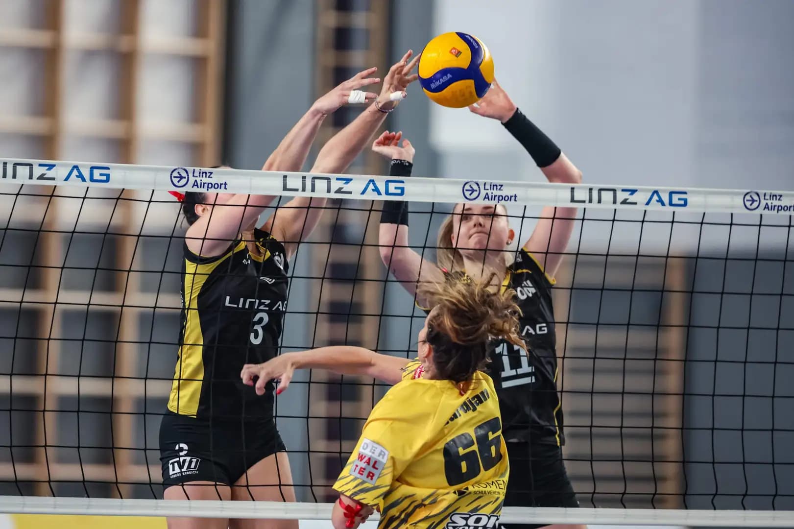 AVL: Crunch-Time im Grunddurchgang startet mit TV-Superknaller