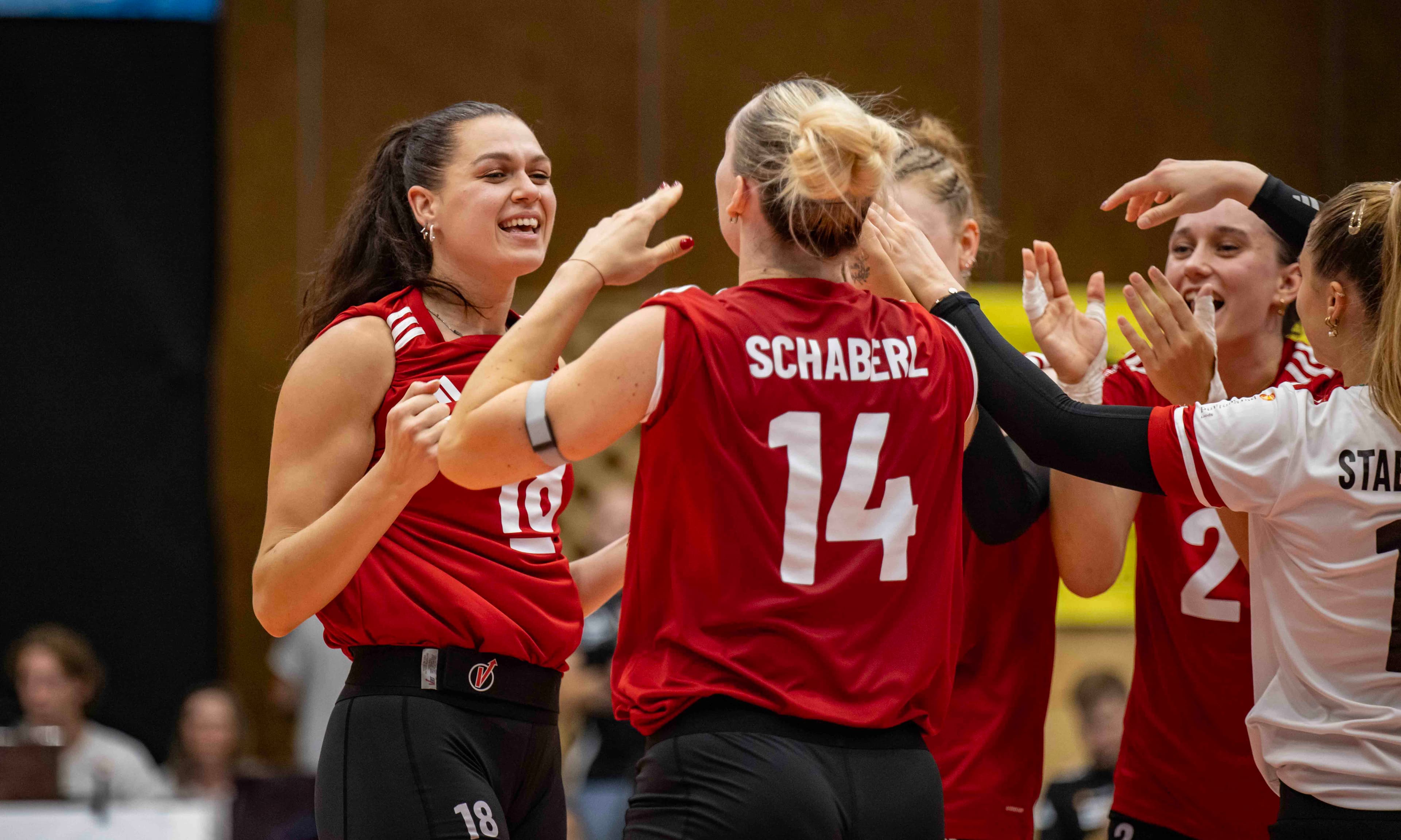 Nesimović vor EM-Duell mit Serbien: "Darauf habe ich 10 Jahre gewartet!"