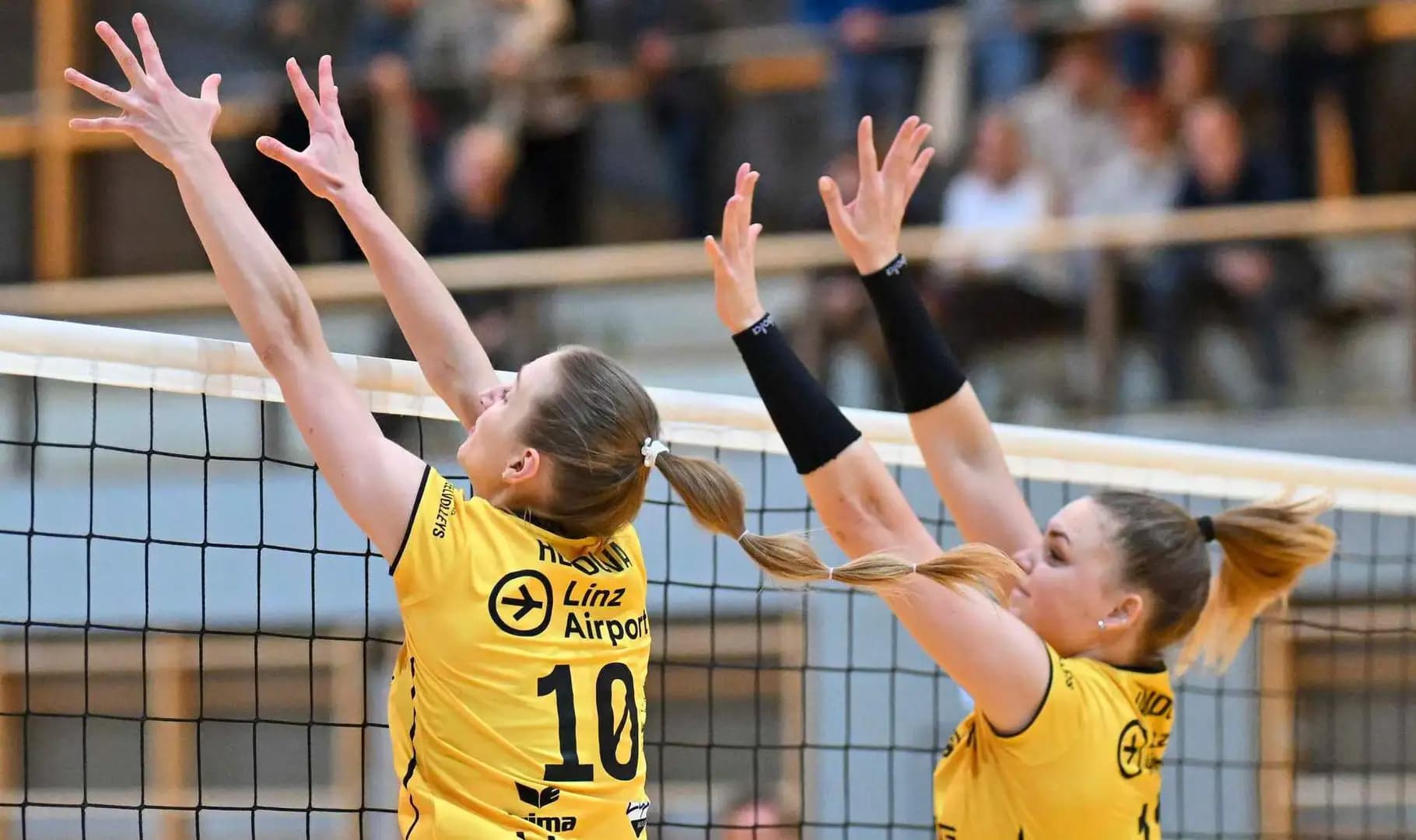 AVL Women: Halbfinale am Dienstag in Linz – live in ORF Sport+