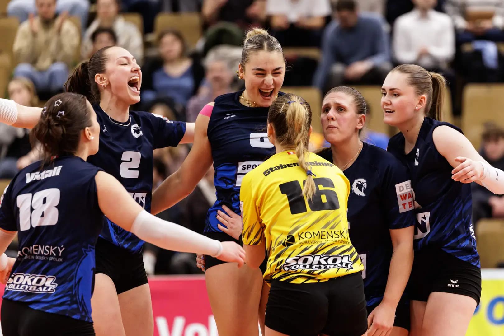 AVL: Damen-Titelverteidiger Sokol weiter / Herren-Halbfinale komplett