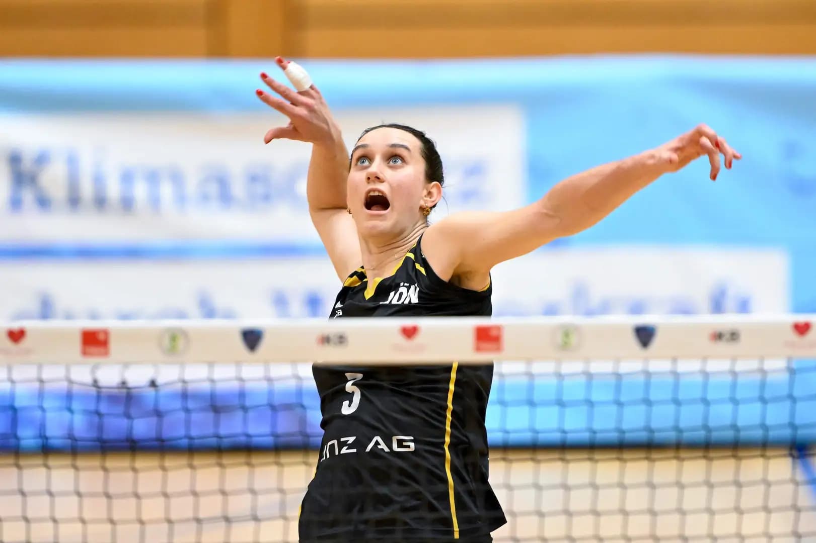 AVL-Countdown: Steelvolleys laden zum LINZ AG Volley Cup