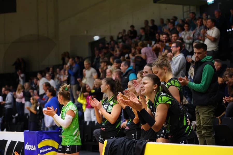 AVL: Letzte Playoff-Tickets an Bisamberg-Hollabrunn und Wörther-See-Löwen Klagenfurt