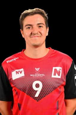 Alin PINTEA