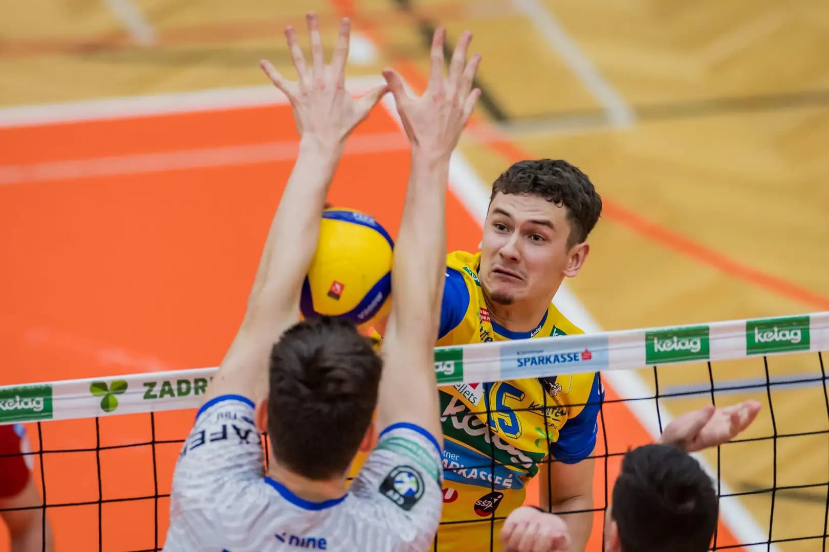 Austrian Volley Leagues: Zweimal Graz gegen Wien, Gipfeltreffen in Hartberg